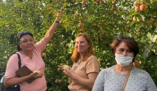 Rus turistler Eğirdir’de elma hasadı turuna katıldı