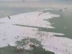 Eğirdir Gölü kıyıları buz tuttu